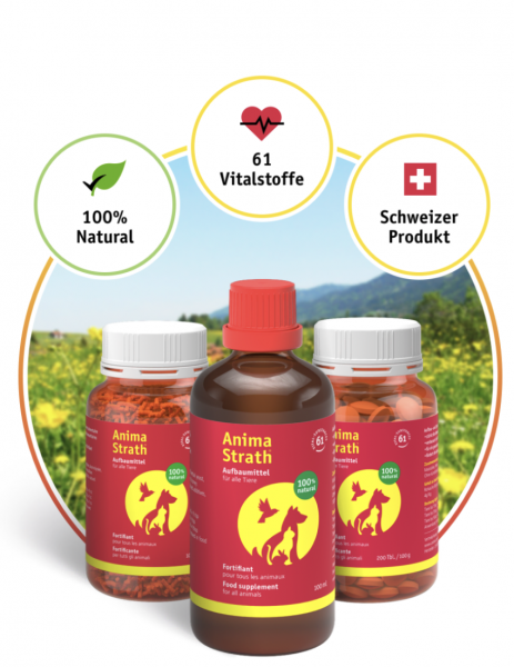 Anima Strath Aufbaumittel