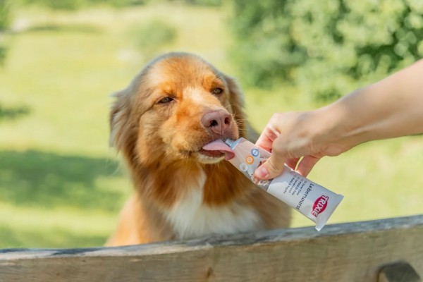 Belohnungspaste Tube