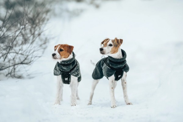 Non-Stop Dogwear Wool Dog Jacket
