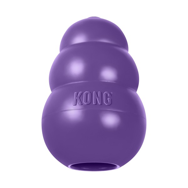 Kong Senior