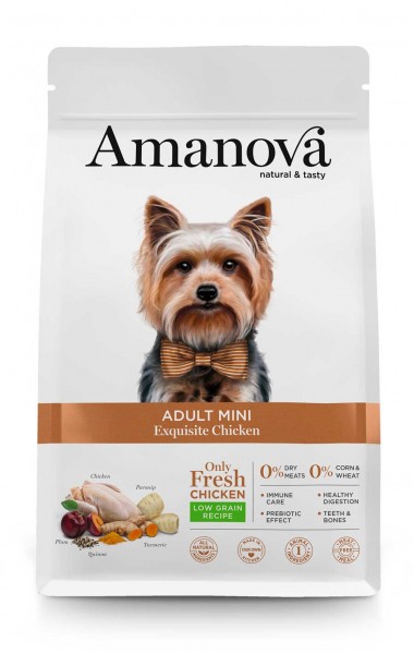 Amanova Adult Mini Exquisite Chicken