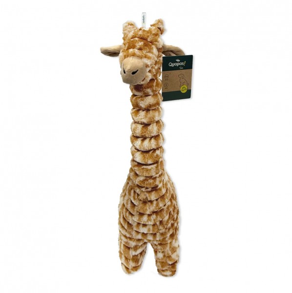 Quapas! Giraffe