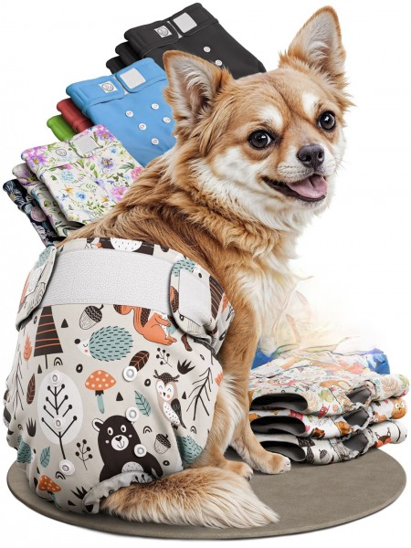 Inkontinenz -und Läufigkeits-Schutzhosen