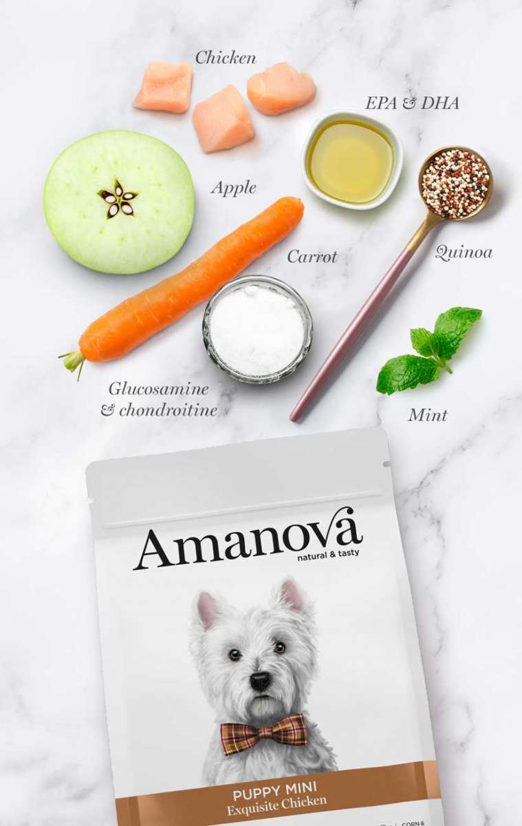 Amanova Hundefutter Lamm 10 Kg – Getreidefrei, Hypoallergen, 51% Frisches Lamm, Für Adulte Hunde