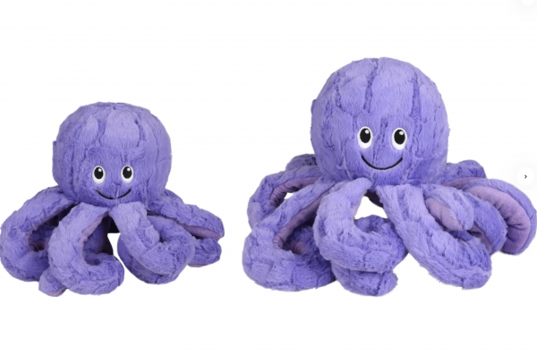 Octopus violett
