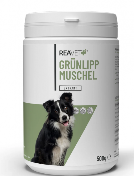 Reavet Grünlippenmuschel Konzentrat Pulver 500gr.