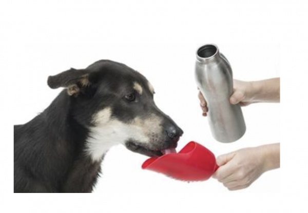 Kong Trinkflasche grün