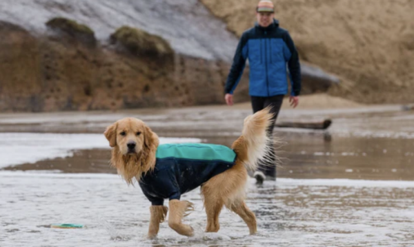 Undercoat Water Jacket , Neoprenanzug für den Hund