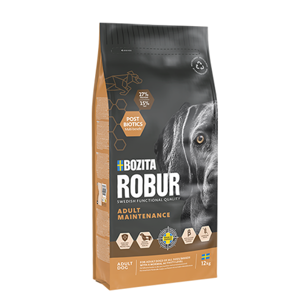 Robur Adult Maintenance