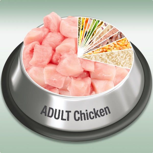 Platinum Adult Chicken