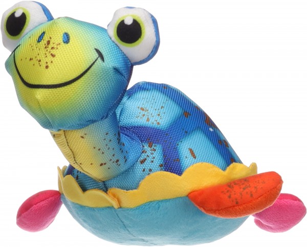 Clora die Schildkröte von Flamingo