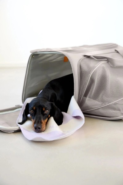 Palopa Hundetragetasche Benno