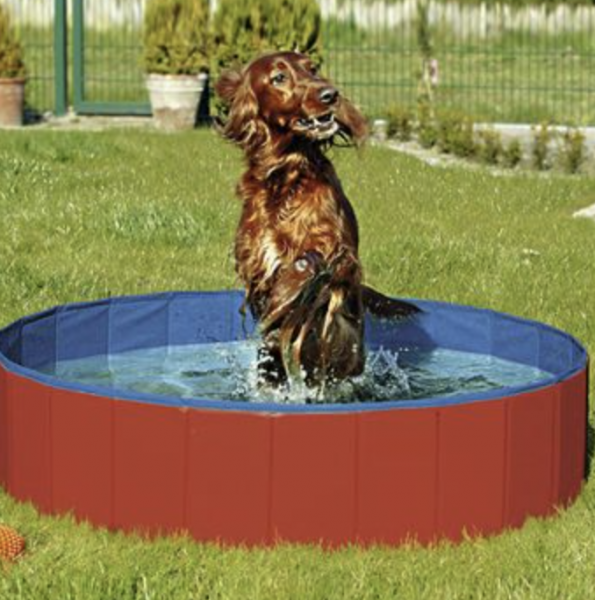 Dog Pool, Planschbecken für Hunde
