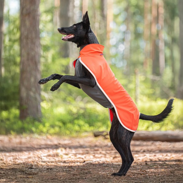 Sportti Hundemantel Habanero von Pomppa