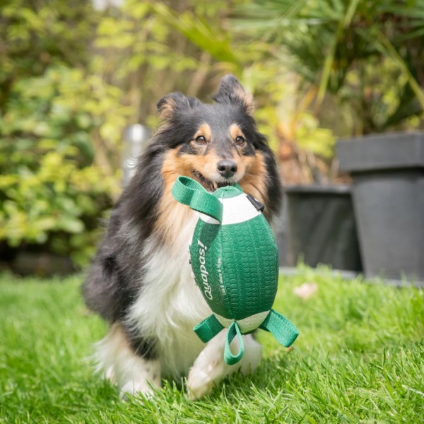 Quapas! Rugby