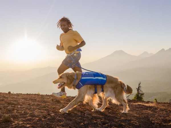 Trail Runner Belt, Laufgurt, Training & Sport, Hund