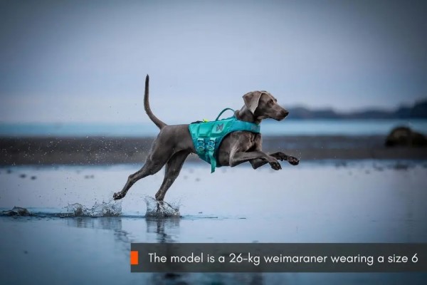 Non-Stop dogwear Protector life Jacket