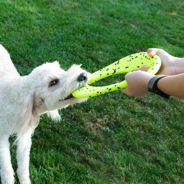 Reflex Flyer / Frisbee