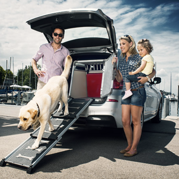 Car 4 pet. Трап для собаки автомобильный. Лестница для собак в автомобиль. Трап для собаки на диван. Трап для собак для грузовых авто.